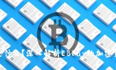 EBPay是什么？深入解析EBPay的加密货币特性
