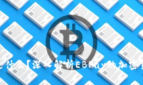EBPay是什么？深入解析EBPay的加密货币特性