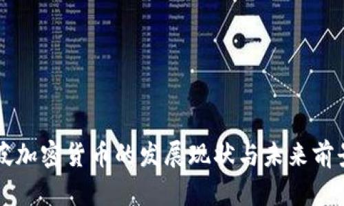 新加坡加密货币的发展现状与未来前景分析