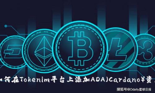 如何在Tokenim平台上添加ADA（Cardano）资产