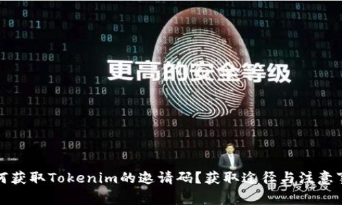 如何获取Tokenim的邀请码？获取途径与注意事项