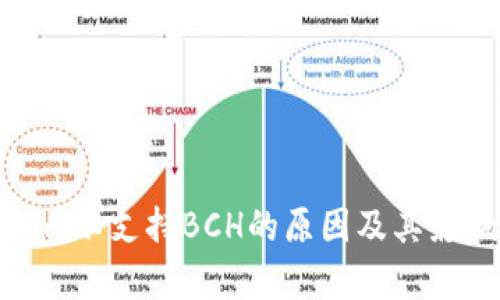 Tokenim不支持BCH的原因及其影响分析