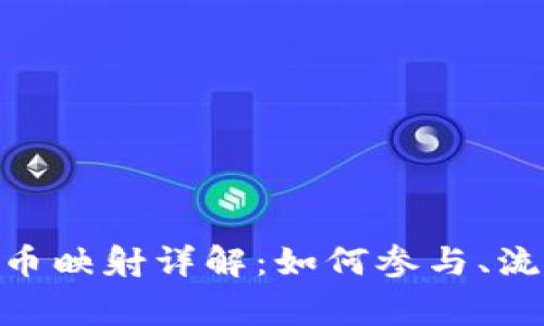 Tokenim Kin币映射详解：如何参与、流程与注意事项