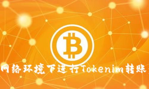 如何在无网络环境下进行Tokenim转账：全面指南