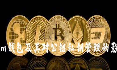 Tokenim钱包及其对公链私钥管理的影响解析