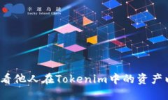  如何查看他人在Tokenim中的资产以及余额