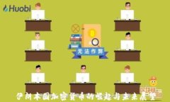 伊朗本国加密货币的崛起与未来展望