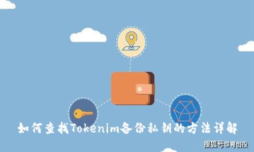 如何查找Tokenim备份私钥的方法详解