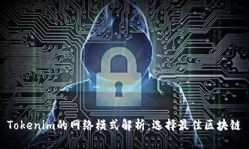 Tokenim的网络模式解析：选择最佳区块链