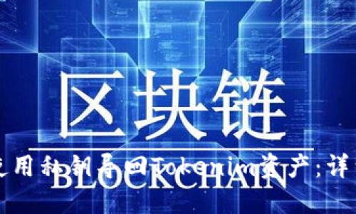 如何使用私钥导回Tokenim资产：详细指南