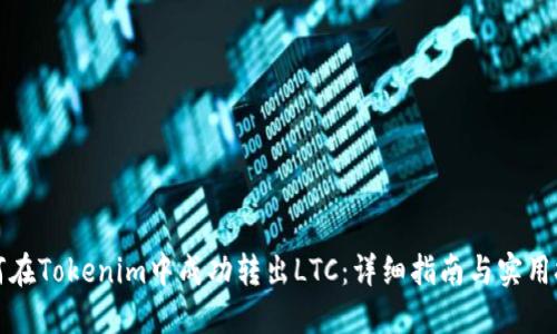 如何在Tokenim中成功转出LTC：详细指南与实用技巧