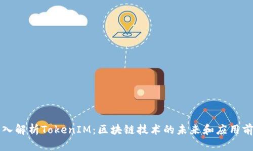 深入解析TokenIM：区块链技术的未来和应用前景