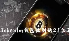 如何处理Tokenim钱包收到的21亿不知名币？