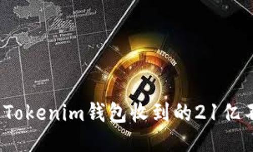 如何处理Tokenim钱包收到的21亿不知名币？