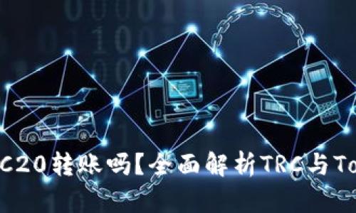 Tokenim支持TRC20转账吗？全面解析TRC与Tokenim的兼容性