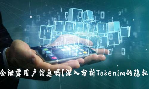 Tokenim会泄露用户信息吗？深入分析Tokenim的隐私和安全性