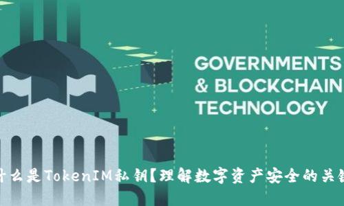 什么是TokenIM私钥？理解数字资产安全的关键