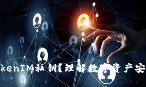 什么是TokenIM私钥？理解数字资产安全的关键