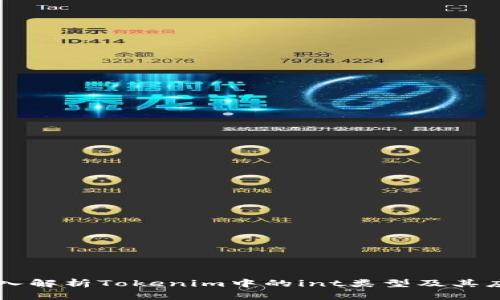 深入解析Tokenim中的int类型及其应用