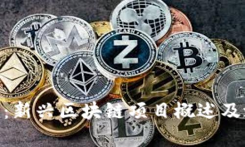 Tokenim：新兴区块链项目概述及潜力分析