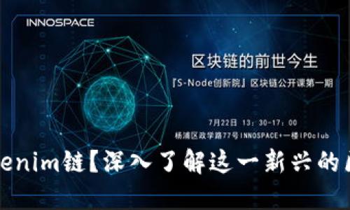 什么是Tokenim链？深入了解这一新兴的区块链技术