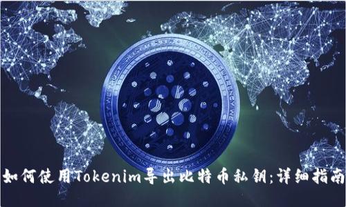 如何使用Tokenim导出比特币私钥：详细指南