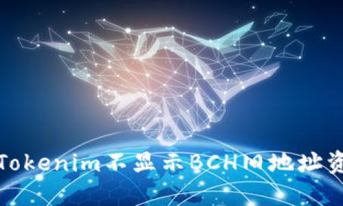 如何解决Tokenim不显示BCH旧地址资产的问题