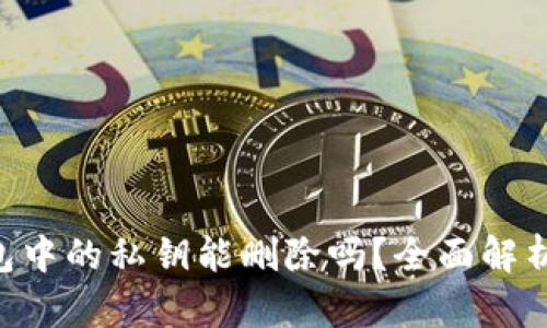 Tokenim钱包中的私钥能删除吗？全面解析与安全建议