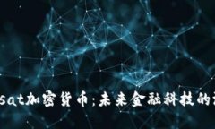 : 深入探讨Tassat加密货币：未来金融科技的游戏规