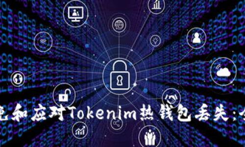 如何避免和应对Tokenim热钱包丢失：全面指南