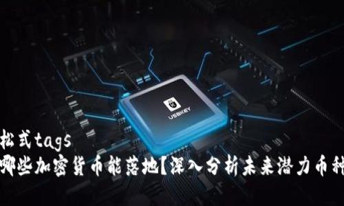 松式tags
哪些加密货币能落地？深入分析未来潜力币种