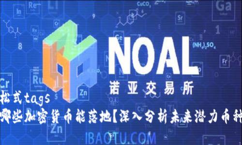 松式tags
哪些加密货币能落地？深入分析未来潜力币种