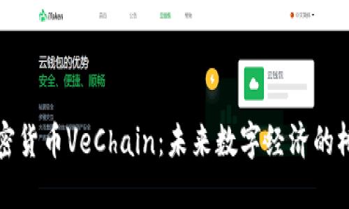 加密货币VeChain：未来数字经济的桥梁