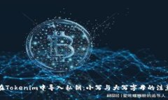 如何在Tokenim中导入私钥：小写与大写字母的注意
