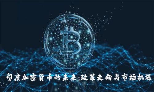  印度加密货币的未来：政策走向与市场机遇