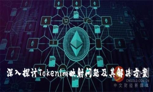 深入探讨Tokenim映射问题及其解决方案