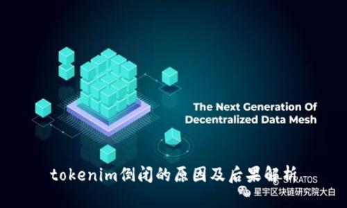 tokenim倒闭的原因及后果解析