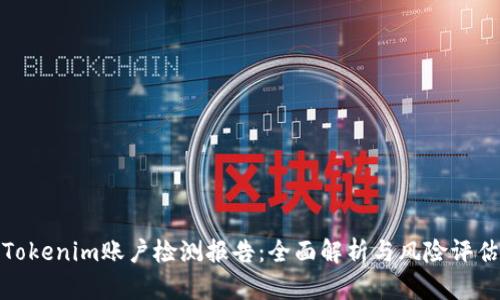 Tokenim账户检测报告：全面解析与风险评估